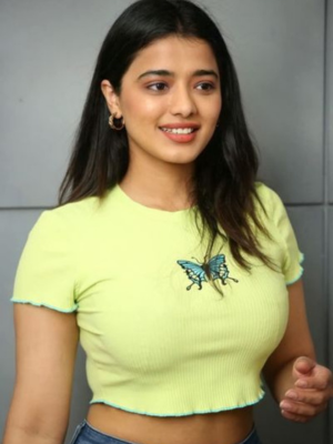 Kotturpuram Escort Services